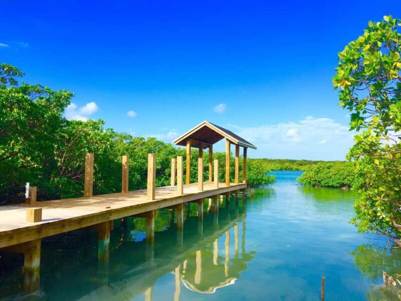 Punta Cana: Ecological Reserve 4x4 Tour with Tastings - An In-Depth Look at the 4x4 Ecological Tour