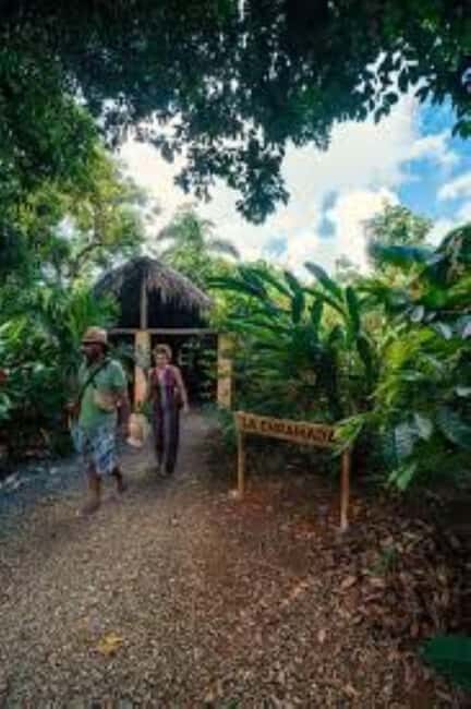 Punta Cana: El Limón Horseback Ride, ATV, and Beach Tour - What to Bring & Tips