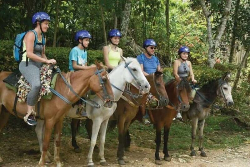 Punta Cana: El Limón Waterfall & Cayo Levantado Tour - FAQ