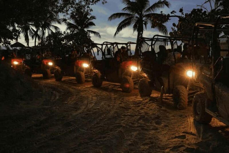 Punta Cana: Evening Buggy Ride, Cenote Swim, Dinner, & Show - Who Is This Tour Best For?