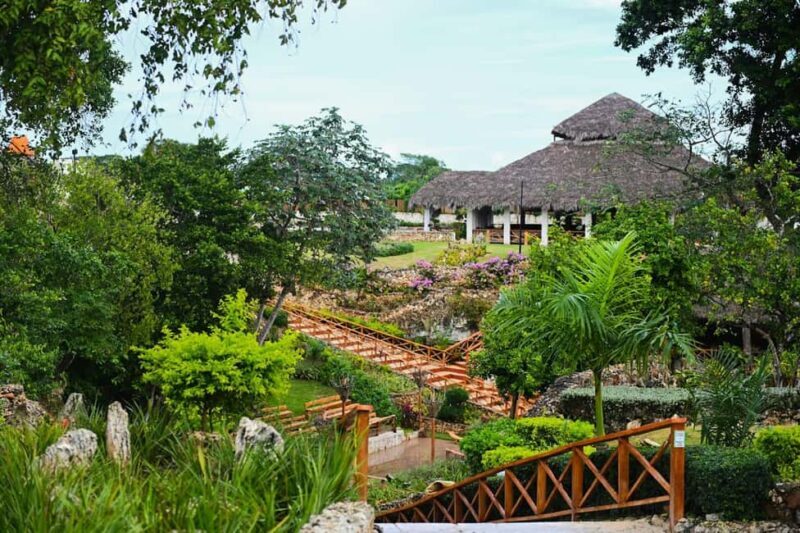 Punta Cana: Evening Buggy With Cenote, Taino Show, Dinner - Good To Know  