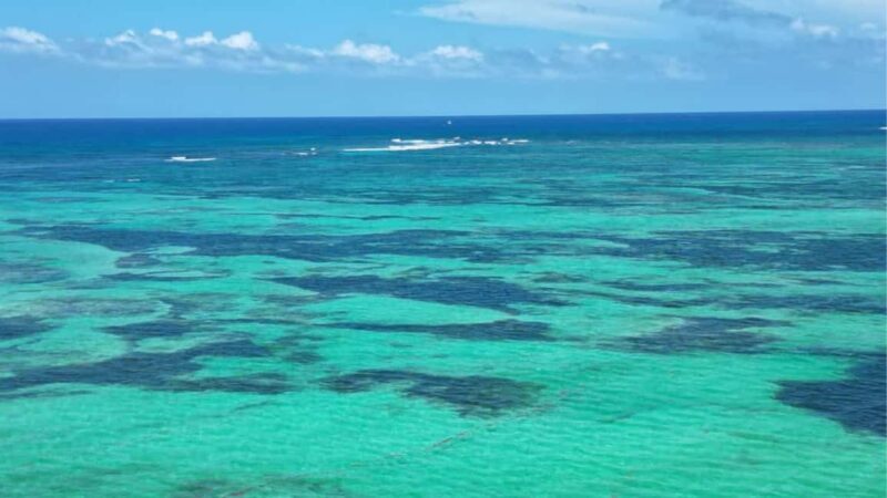 Punta Cana: Exclusive Private Catamaran Tour to Saona Island  VIP Service - The Sum Up