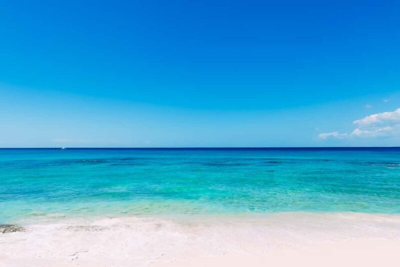 Punta Cana: Full Day Boat Trip to Catalina Island with Lunch - Real-World Insights from Reviews