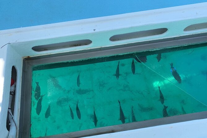 Punta Cana Glass Bottom Catamaran With Slide Private Tour - Snacks and Open Bar Onboard