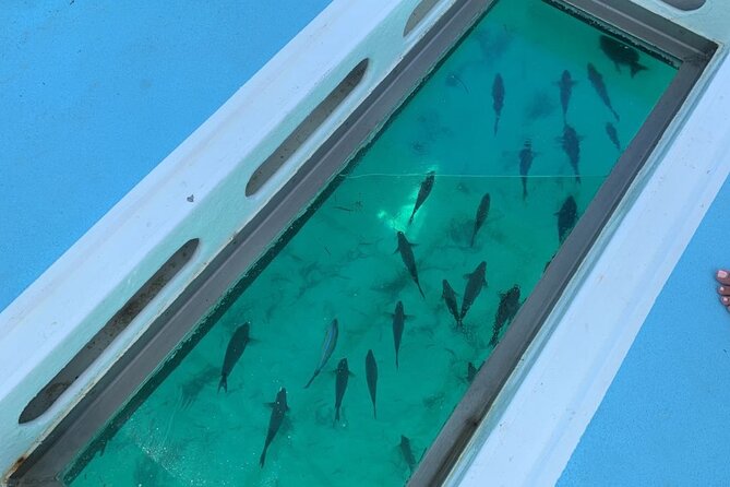 Punta Cana Glass Bottom Catamaran With Slide Private Tour - Pricing and Terms