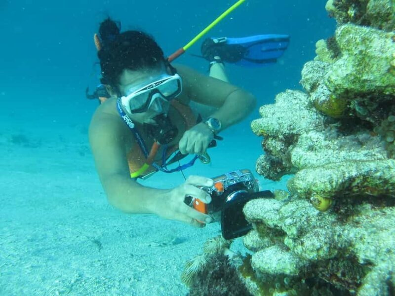 Punta Cana: Guided Power Dive Adventure - An In-Depth Look at the Experience
