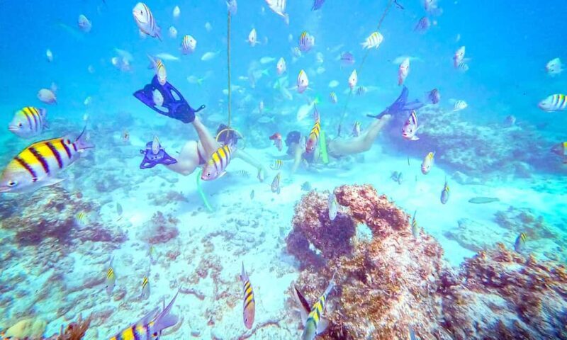 Punta Cana: Guided Power Dive Adventure - Frequently Asked Questions