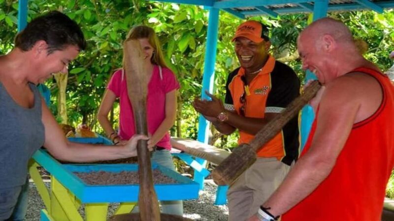 Punta Cana: Hacienda Tuko Buggy, Zipline, & Horseback Tour - Punta Cana: Hacienda Tuko Buggy, Zipline, & Horseback Tour — An Authentic Jungle Adventure