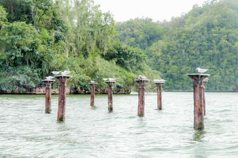 Punta Cana: Haitises, Cano Hondo, Redonda Mountain Day Trip - An In-Depth Look at the Tour