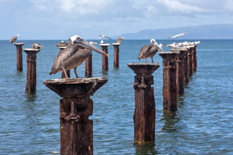 Punta Cana: Haitises, Cano Hondo, Redonda Mountain Day Trip - Final Thoughts: Is This Tour Right for You?