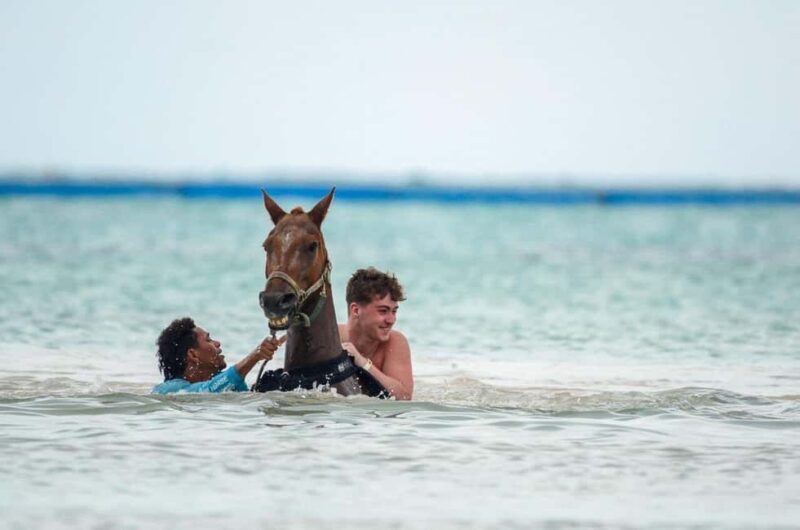 Punta Cana: Haitises, Montaña R. & Horse Ride Limón Beach - Frequently Asked Questions