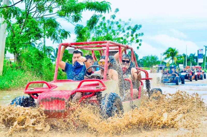Punta Cana: Half-Day Buggy Tour with PickUp & Macao Beach - Getting to Know the Tour: What to Expect from Start to Finish