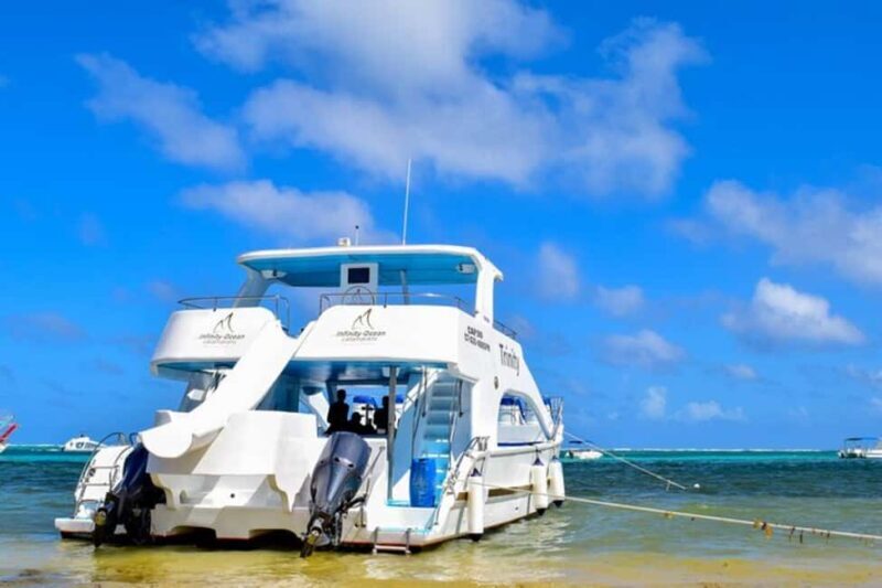 Punta Cana: Half-Day Snorkeling & Natural Pool Tour - Who Should Consider This Tour?
