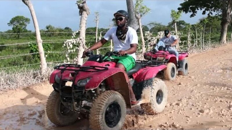 Punta Cana: Half Day Tour Adventure Buggy Cenote Macao Beach - Introduction