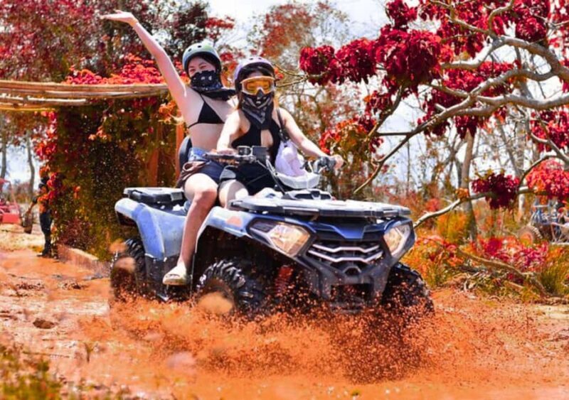 Punta Cana: Half Day Tour Buggy Tour And Horseback Riding - The Itinerary: What You Can Expect