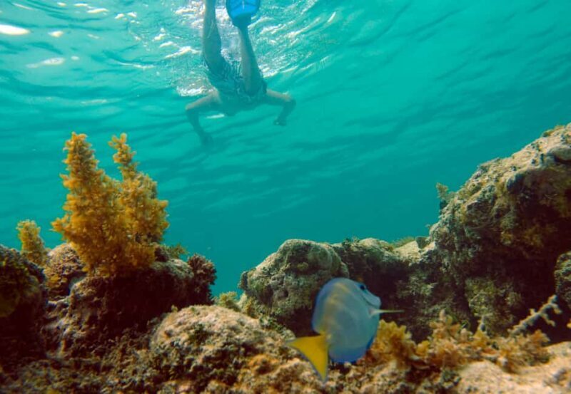 Punta Cana Happy Hour Sailing Cruise - Good To Know