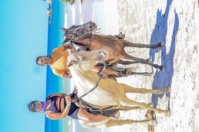 Punta Cana Horse and Buggy Adventure Tour - Frequently Asked Questions