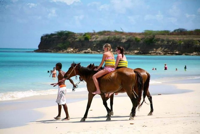 Punta Cana Horse Back Ridding on the Beach - Reviews and Ratings