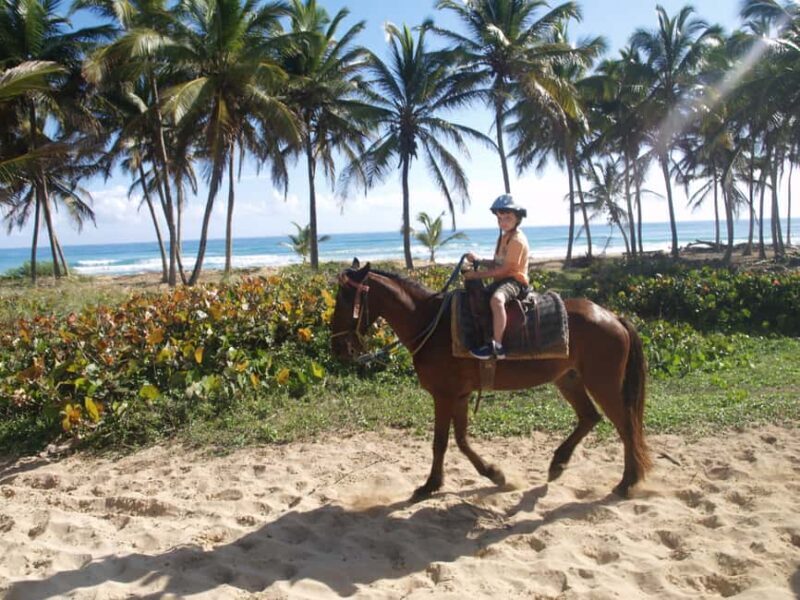 Punta Cana: Horseback Ride to Macao Beach - The Practical Side: Details & Considerations