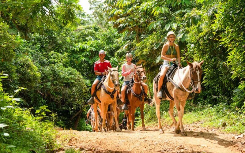 Punta Cana: Horseback Riding Adventure Free Hotel Pickup - Exploring the Itinerary in Detail