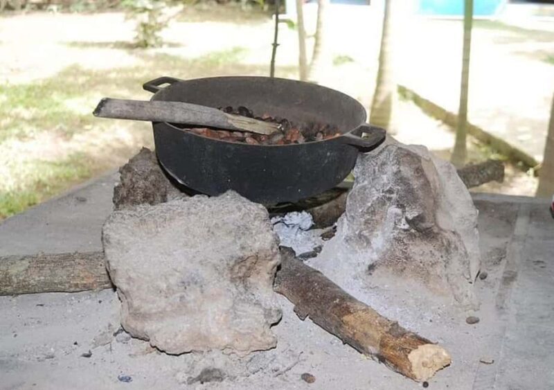 Punta Cana: Horseback riding on the beach with pickup - The Sum Up