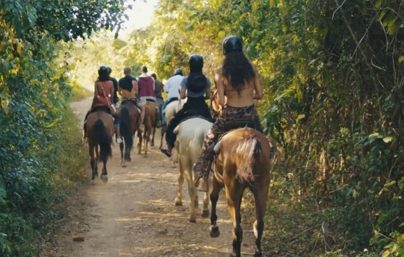 Punta Cana Horseback riding & Sunset + beach + free pick-up - Good To Know