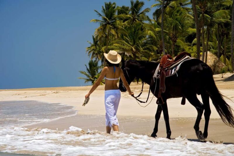 Punta Cana: Horseback Riding through Stunning Beaches - An Introduction to the Punta Cana Horseback Riding Tour