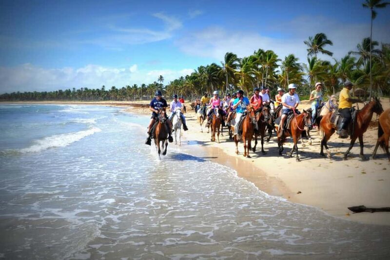 Punta Cana: Horseback Riding through Stunning Beaches - The Itinerary Breakdown
