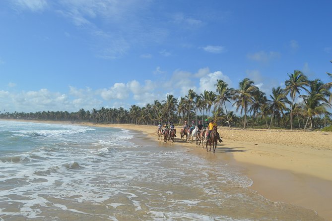 Punta Cana Horseback Riding to Uvero Alto Beach - Reviews