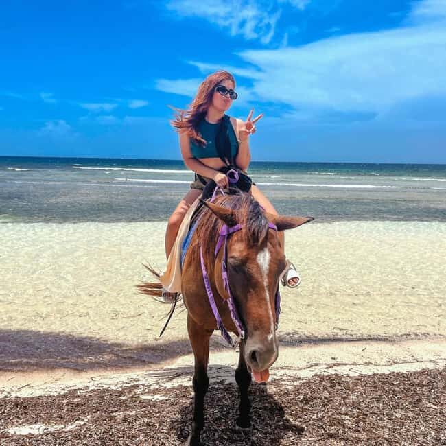 Punta Cana: Horseback Riding Tour with Sunset at Macao Beach - Who Will Enjoy This Experience?
