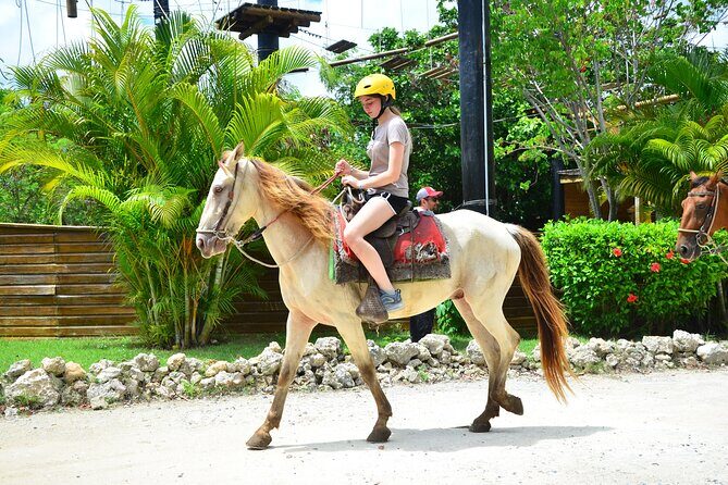 Punta Cana Horseback Riding & Waterfall Pool Adventure with Lunch - Who Should Consider This Tour?