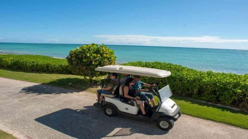 Punta Cana: Iguana Sanctuary, Sailing & BBQ Tour - An In-Depth Look at the Tour Itinerary