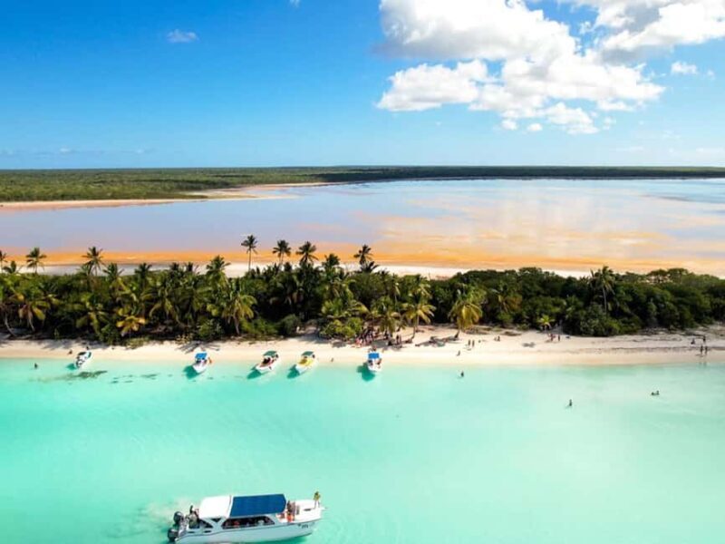 Punta Cana: Isla Saona Day Trip with Catamaran Cruise - An In-Depth Look at the Isla Saona Day Trip