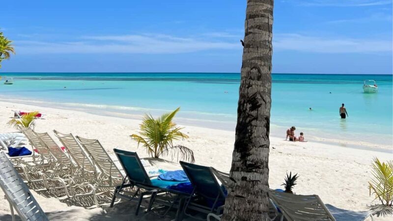 Punta Cana: Island escape to catalina  snorkeling & lunch - What to Expect from This Catalina Island Tour