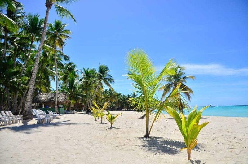 Punta cana: Island Escape to Saona catamaran & Beach lunch - Good To Know