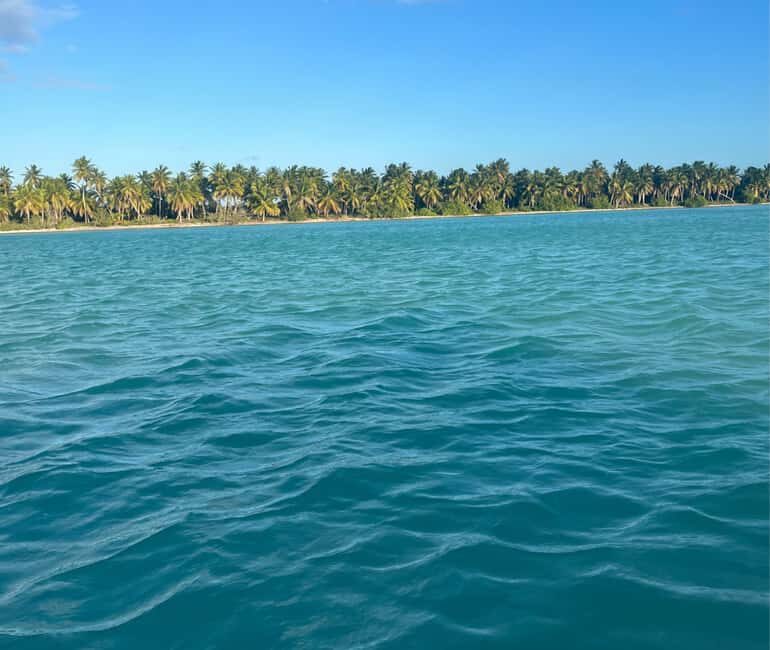Punta cana: Island Escape to Saona catamaran & Beach lunch - Who Should Consider This Tour?
