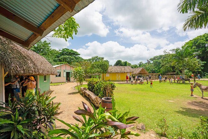 Punta Cana Jungle Adventure Day at La Hacienda Park - Practical Details and Value