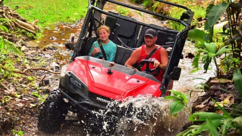 Punta Cana: Jungle Buggy Tour with Monkeyland Visit - Visiting the Coconut Home: Cultural and Practical Insights