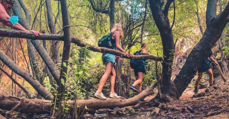 Punta Cana: Los Haitises Hike & Kayaking Mangroves - FAQ