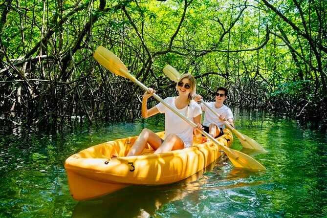 Punta Cana: Los Haitises Hike & Kayaking Mangroves - Final Thoughts
