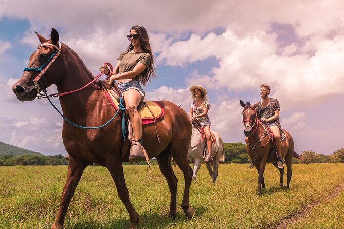 Punta Cana: Los Haitises Horses riding + Montana redonda - What Reviewers Say