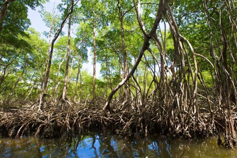 Punta Cana: Los Haitises, Montaña Redonda and Cayo Levantado - Frequently Asked Questions