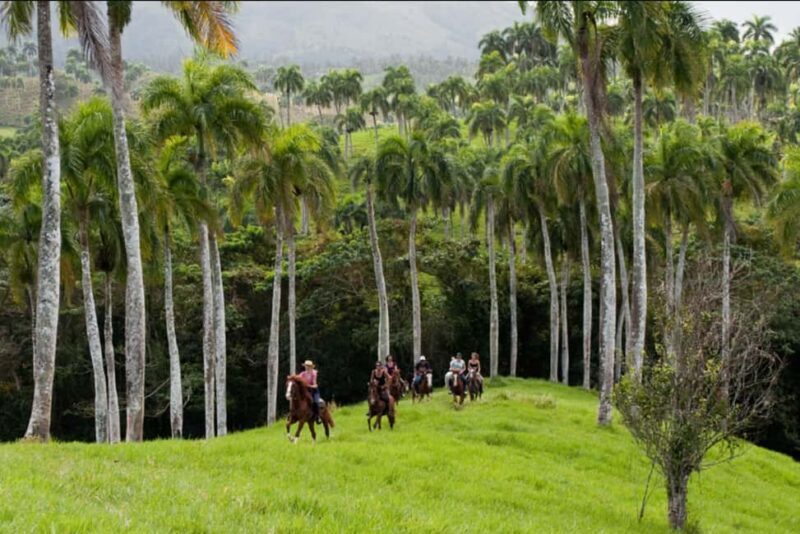 Punta Cana: Los Haitises National Park Horseback & Boat Tour - Good To Know