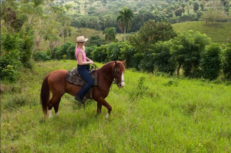 Punta Cana: Los Haitises National Park Horseback & Boat Tour - Exploring the Itinerary in Detail