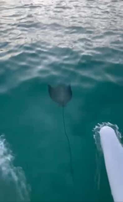 Punta Cana Luxury Snorkel & Beach Club Day at Playa Blanca - Exploring the Punta Cana Snorkel & Beach Club Tour