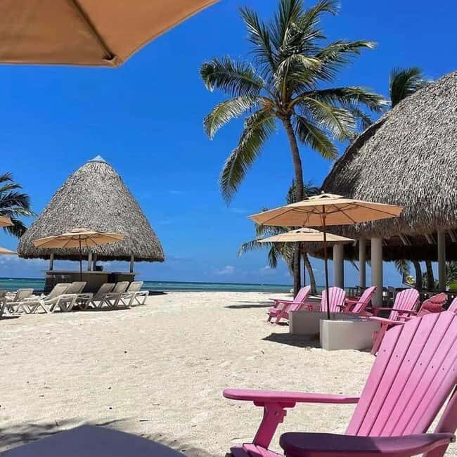 Punta Cana Luxury Snorkel & Beach Club Day at Playa Blanca - Who Is This Tour Best For?