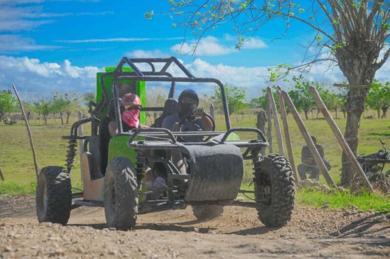 Punta Cana: Macao Beach Buggy Tour and Cenote with Transfers - Who Will Love This Tour