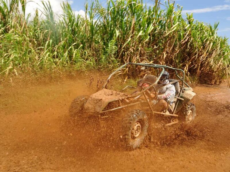 Punta Cana: Macao Beach Buggy Tour - Pricing and Value