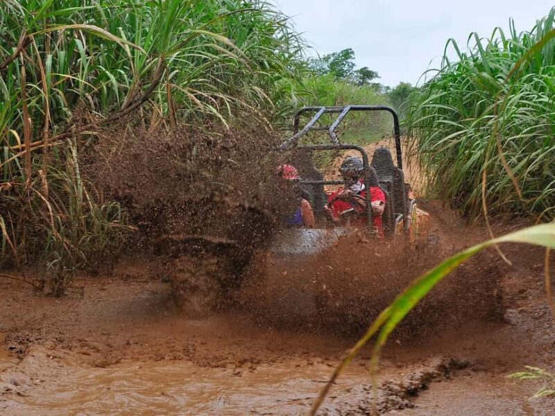 Punta Cana: Macao Beach Buggy Tour - Final Thoughts