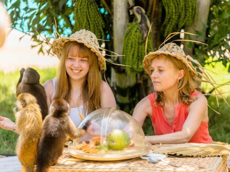 Punta Cana: Monkey Adventure by Jhoraji With Hotel Pick-Up - Final Thoughts: Is It Worth It?